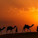 Day Camel Trek