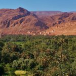 Draa Valley Camel Trek